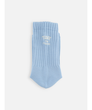 アメリブパイルロゴ刺繍ソックス