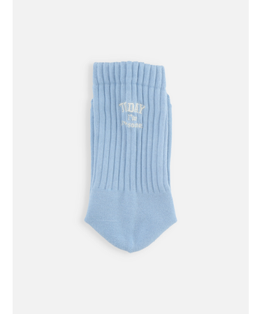 アメリブパイルロゴ刺繍ソックス