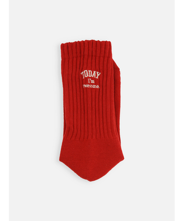 アメリブパイルロゴ刺繍ソックス