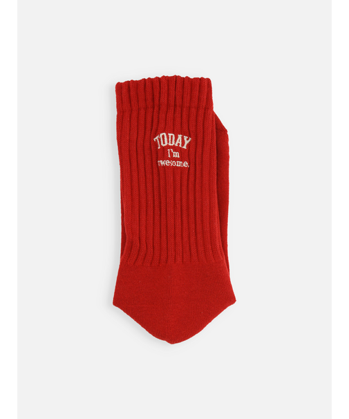 アメリブパイルロゴ刺繍ソックス