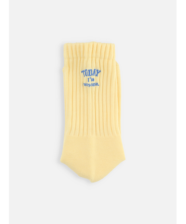 アメリブパイルロゴ刺繍ソックス