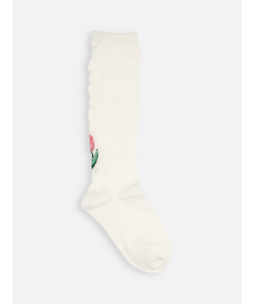 キッズ チューリップハイソックス16～18cm