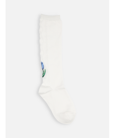 キッズ チューリップハイソックス19～21cm