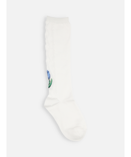 キッズ チューリップハイソックス19～21cm