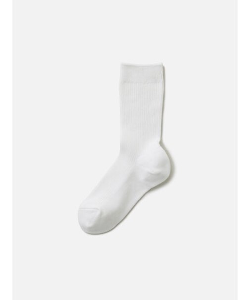 キッズ 2×1リブソックス16～18cm