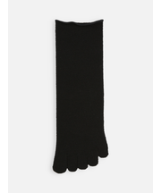 梳毛五本指ソックス