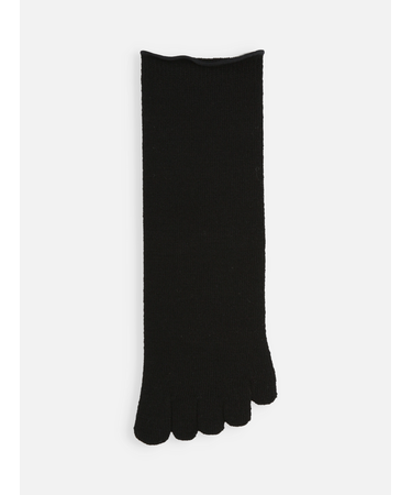 梳毛五本指ソックス