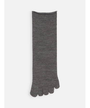 梳毛五本指ソックス