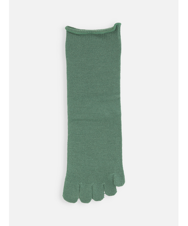 梳毛五本指ソックス