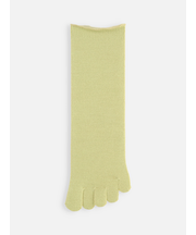 梳毛五本指ソックス