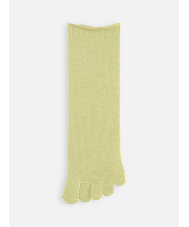 梳毛五本指ソックス