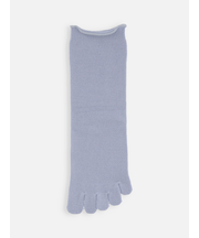 梳毛五本指ソックス