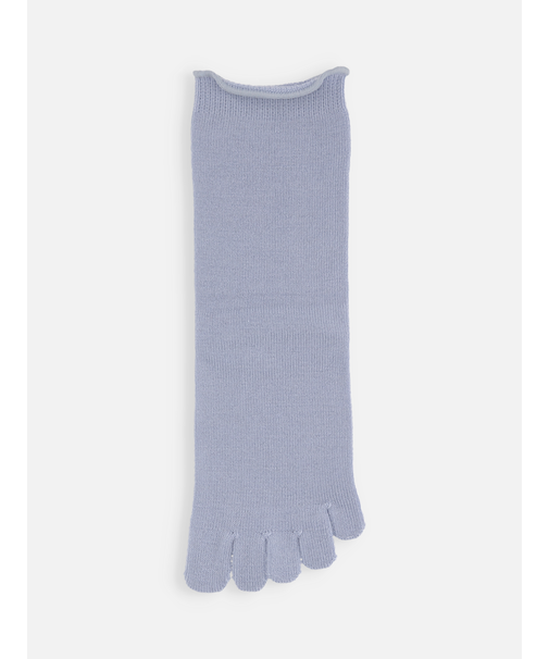 梳毛五本指ソックス