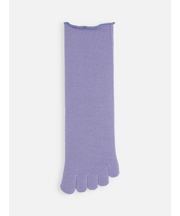 梳毛五本指ソックス