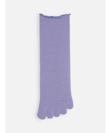 梳毛五本指ソックス