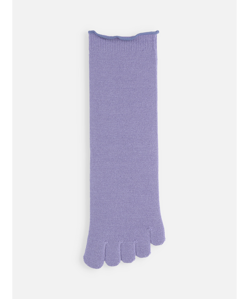 梳毛五本指ソックス