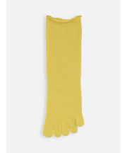 梳毛五本指ソックス