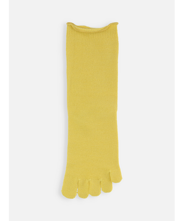 梳毛五本指ソックス