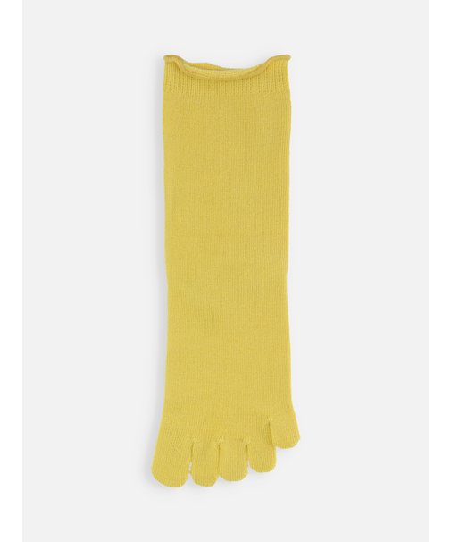 梳毛五本指ソックス