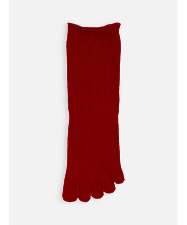 梳毛五本指ソックス