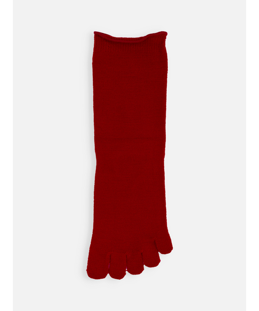 梳毛五本指ソックス