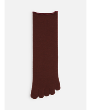 梳毛五本指ソックス