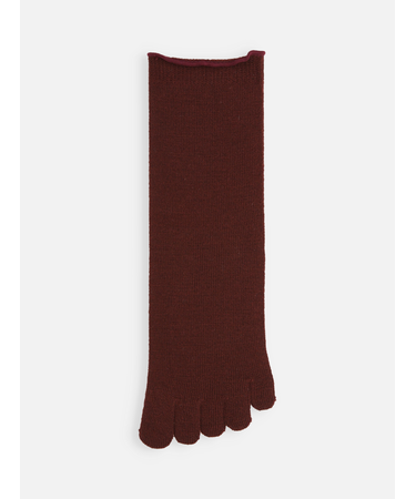 梳毛五本指ソックス