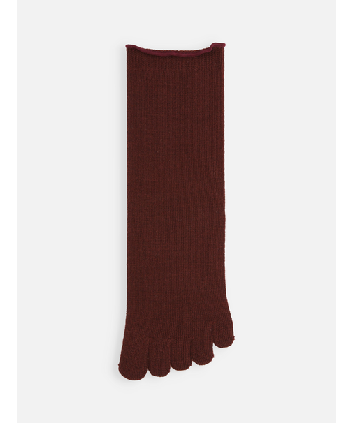 梳毛五本指ソックス