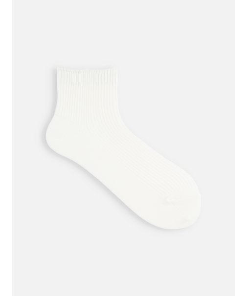 【WEB限定・ドライタッチ】絶妙な丈のリブショートソックス