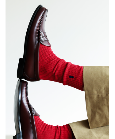 【MEN】POLO クラシックリブレギュラー丈ソックス