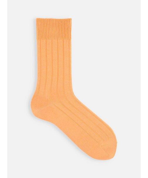 【Tabio MEN】太リブレギュラー丈ソックス