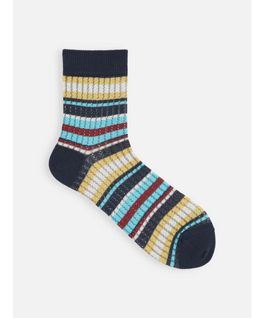 メッシュマルチボーダーショートソックス