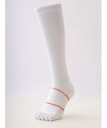 BASEBALL 五本指ロングソックス(23～25cm)