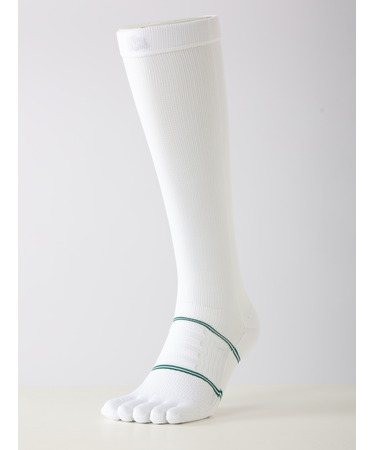 BASEBALL 五本指ロングソックス(25～27cm)