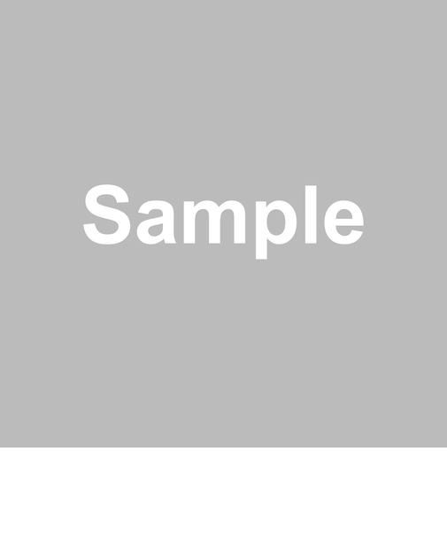 シャイニーラメメッシュアキレスガード付きスニーカー用ソックス