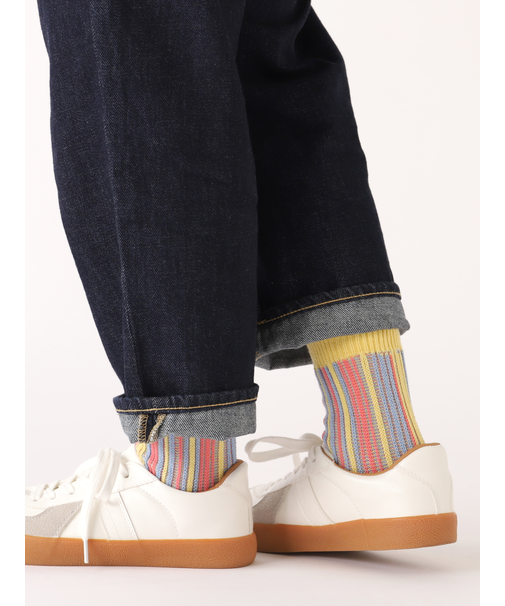 ランダムストライプJQソックス