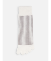 五本指ストライプショートソックス