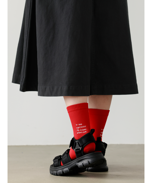 ドライアメリブロゴ刺繍ソックス