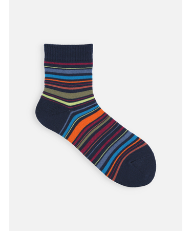 マルチボーダーショートソックス