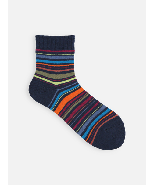 マルチボーダーショートソックス