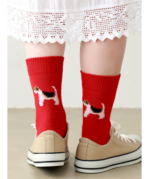 Friendly Dogソックス