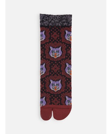 CATSフロート足袋ショートソックス