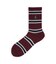 POLO アメリブラグビーストライプソックス