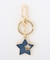 CLASSIC STAR KEYRING