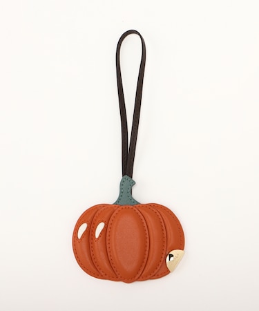 CLASSIC CHARM ZUCCA