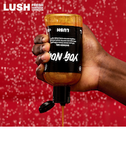 LUSH ヨッグノッグ シャワージェル クリスマス 限定 2025 ボディソープ イランイラン スパイシー 人気 かわいい ヴィーガン コスメ ラッシュ 公式
