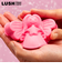 LUSH スノーフェアリー シャワージェリー クリスマス 限定 2025 ソープ 石鹸 ライム ラズベリー 人気 かわいい ヴィーガン コスメ ラッシュ 公式