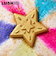LUSH スターオブワンダー バスボム クリスマス 限定 2025 入浴剤 プチギフト プレゼント ココナツ 人気 かわいい ヴィーガン コスメ ラッシュ 公式