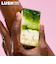 LUSH ノースポール ソープ クリスマス 限定 2025 ペパーミント メープルシロップ 固形石鹸 人気 かわいい ヴィーガン コスメ ラッシュ 公式