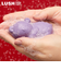 LUSH スリーピーベア シャワージェリー クリスマス 限定 2025 ソープ 石鹸 人気 かわいい ヴィーガン コスメ ラッシュ 公式